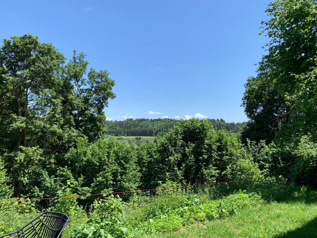 Moderne Wohnung Im Gruenen Mit Privatem Garten Donaueschingen Zewnętrze zdjęcie