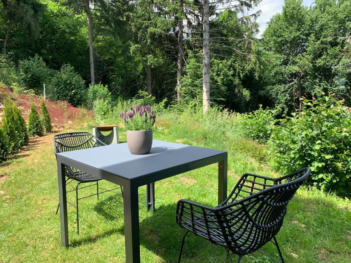 Moderne Wohnung Im Gruenen Mit Privatem Garten Donaueschingen Zewnętrze zdjęcie