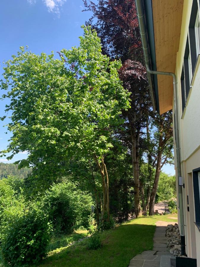 Moderne Wohnung Im Gruenen Mit Privatem Garten Donaueschingen Zewnętrze zdjęcie